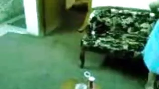 Arabiska sex
