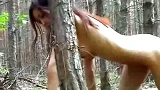 Jag mongoliska dryad