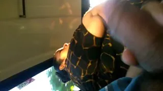 Blinkande buss 2