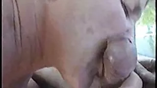 Gammal kuksugare