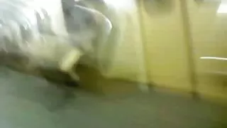 Nya flash 37