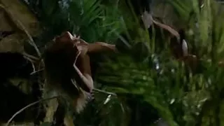 Drömmar om vita kvinnor