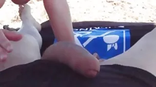 Ensam vid stranden