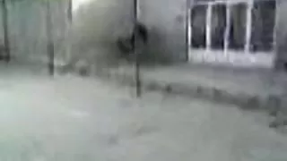 Uzbekiska gammal