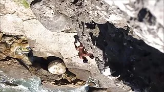 Tugas apanhados 2