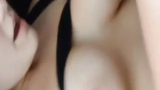 Amatör puma
