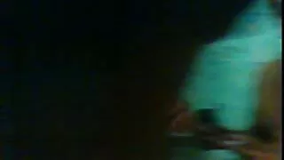 Sida gulosa