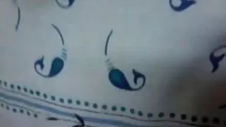 Desi bhen knulla med hindi ljud