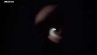 Edwige fenech - en polis på porr trupp