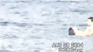 Sex på stranden